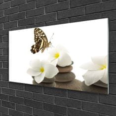 tulup.si Slika na akrilnem steklu Butterfly flower rastlin stones 100x50 cm 2 obešalnika