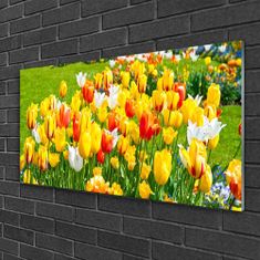 tulup.si Slika na akrilnem steklu Tulipani rože narava 120x60 cm 2 obešalnika