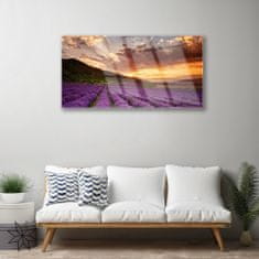 tulup.si Slika na akrilnem steklu Področje lavender sunset 100x50 cm 2 obešalnika