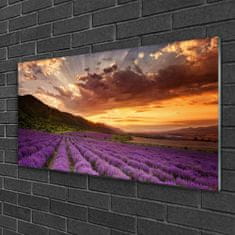 tulup.si Slika na akrilnem steklu Področje lavender sunset 100x50 cm 2 obešalnika