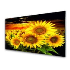 tulup.si Slika na akrilnem steklu Sončnica flower rastlin 120x60 cm 4 obešalnika