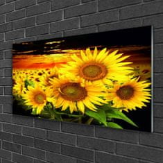 tulup.si Slika na akrilnem steklu Sončnica flower rastlin 120x60 cm 4 obešalnika