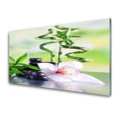 tulup.si Slika na akrilnem steklu Bamboo orchid zen spa 100x50 cm 2 obešalnika