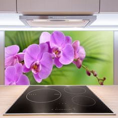 tulup.si Zidna obloga za kuhinju Orhideja orhideje 100x50 cm