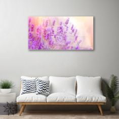 tulup.si Slika na akrilnem steklu Lavender področje sun flowers 100x50 cm 2 obešalnika