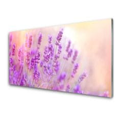 tulup.si Slika na akrilnem steklu Lavender področje sun flowers 100x50 cm 2 obešalnika