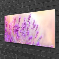 tulup.si Slika na akrilnem steklu Lavender področje sun flowers 100x50 cm 2 obešalnika