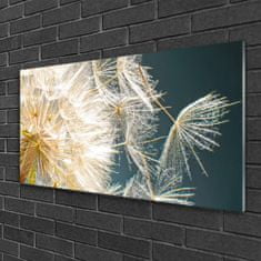 tulup.si Slika na akrilnem steklu Dandelion rastlin 120x60 cm 2 obešalnika