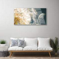 tulup.si Slika na akrilnem steklu Dandelion rastlin 120x60 cm 2 obešalnika