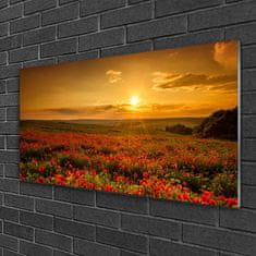 tulup.si Slika na akrilnem steklu Makovo polje sunset travnik 120x60 cm 4 obešalnika