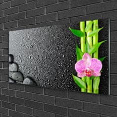 tulup.si Slika na akrilnem steklu Bambus stem flower rastlin 100x50 cm 2 obešalnika