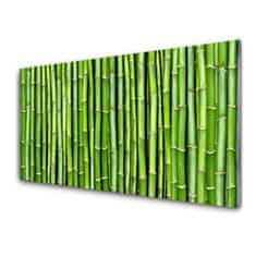 tulup.si Slika na akrilnem steklu Bamboo flower rastlin 120x60 cm 2 obešalnika