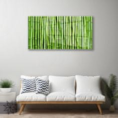 tulup.si Slika na akrilnem steklu Bamboo flower rastlin 120x60 cm 2 obešalnika