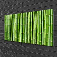 tulup.si Slika na akrilnem steklu Bamboo flower rastlin 120x60 cm 2 obešalnika