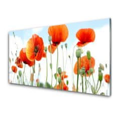 tulup.si Slika na akrilnem steklu Makovo polje flowers travnik narava 100x50 cm 2 obešalnika