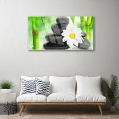 tulup.si Slika na akrilnem steklu Bamboo daisy flower 100x50 cm 2 obešalnika