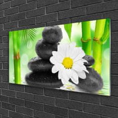 tulup.si Slika na akrilnem steklu Bamboo daisy flower 100x50 cm 2 obešalnika