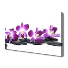 tulup.si Slika na platnu Orchid cvet spa 100x50 cm