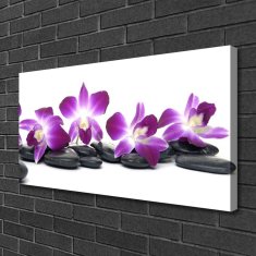 tulup.si Slika na platnu Orchid cvet spa 100x50 cm