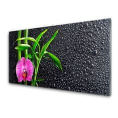 tulup.si Slika na akrilnem steklu Bamboo flower drops 140x70 cm 2 obešalnika