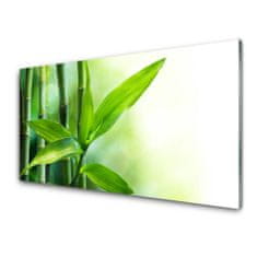 tulup.si Slika na steklu Bamboo leaf narava rastlin 125x50 cm 4 obešalnika