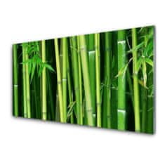 tulup.si Slika na akrilnem steklu Bamboo bamboo forest narava 100x50 cm 2 obešalnika