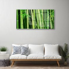 tulup.si Slika na akrilnem steklu Bamboo bamboo forest narava 100x50 cm 2 obešalnika