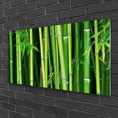 tulup.si Slika na akrilnem steklu Bamboo bamboo forest narava 100x50 cm 2 obešalnika