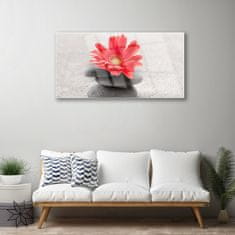 tulup.si Slika na akrilnem steklu Gerbera cvet 100x50 cm 4 obešalnika