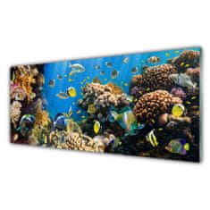 tulup.si Slika na akrilnem steklu Barrier reef narava 125x50 cm 4 obešalnika