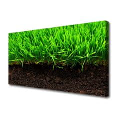 tulup.si Slika na platnu Grass nature rastlin 100x50 cm