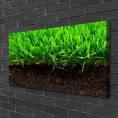 tulup.si Slika na platnu Grass nature rastlin 100x50 cm