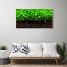 tulup.si Slika na platnu Grass nature rastlin 100x50 cm