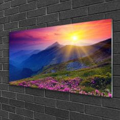 tulup.si Slika na akrilnem steklu Flower mountain travnik landscape 100x50 cm 2 obešalnika