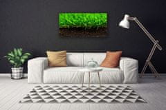 tulup.si Slika na platnu Grass nature rastlin 100x50 cm