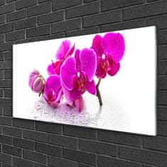 tulup.si Slika na steklu Cvetovi rastlin narava 125x50 cm 2 obešalnika