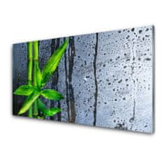 tulup.si Slika na akrilnem steklu Bamboo leaf narava rastlin 100x50 cm 2 obešalnika