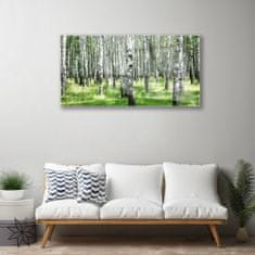 tulup.si Slika na akrilnem steklu Forest grass nature rastlin 100x50 cm 4 obešalnika