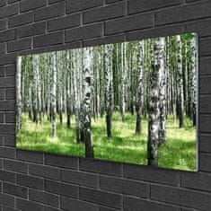 tulup.si Slika na akrilnem steklu Forest grass nature rastlin 100x50 cm 4 obešalnika