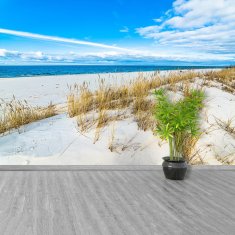 tulup.si Fototapeta Morski dunes Samolepilne 104x70 cm