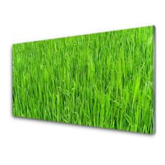 tulup.si Slika na akrilnem steklu Narava green grass turf 100x50 cm 4 obešalnika