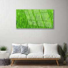 tulup.si Slika na akrilnem steklu Narava green grass turf 100x50 cm 4 obešalnika