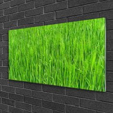 tulup.si Slika na akrilnem steklu Narava green grass turf 100x50 cm 4 obešalnika