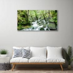 tulup.si Slika na akrilnem steklu Forest stream river falls 100x50 cm 2 obešalnika