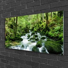 tulup.si Slika na akrilnem steklu Forest stream river falls 100x50 cm 2 obešalnika