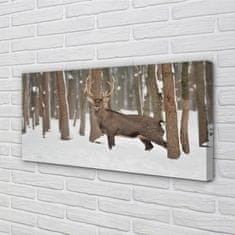 tulup.si Slika na platnu Deer zimski gozd 120x60 cm