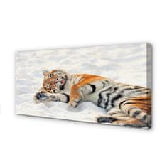 tulup.si Slika na platnu Tiger zima 125x50 cm