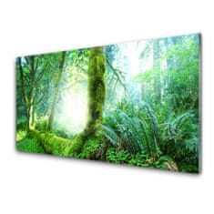 tulup.si Slika na akrilnem steklu Forest moss narava 120x60 cm 2 obešalnika