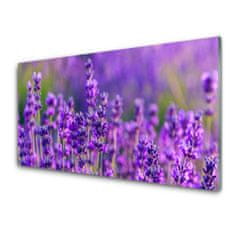 tulup.si Slika na akrilnem steklu Purple lavender polje 100x50 cm 4 obešalnika