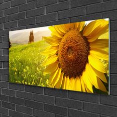 tulup.si Slika na akrilnem steklu Sončnica flower rastlin 100x50 cm 4 obešalnika